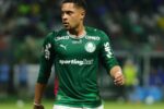 Confronto direto no Brasileirão: Grêmio e Palmeiras se enfrentam por objetivos distintos