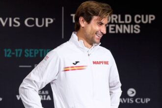 David Ferrer sai em defesa de Carlos Alcaraz após ausência na Copa Davis