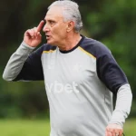 Desafios táticos de Tite para adaptar elenco do Botafogo ao seu estilo de jogo