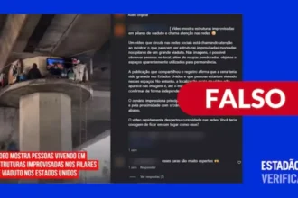 Desinformação digital: vídeo de moradias em viaduto de Los Angeles é falso e gerado por IA