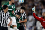 Empate entre Botafogo e Palmeiras consolida Flamengo na liderança do Brasileirão