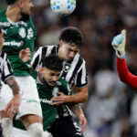 Empate entre Botafogo e Palmeiras consolida Flamengo na liderança do Brasileirão