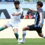 Empate entre Grêmio e Palmeiras mantém Botafogo distante da zona de rebaixamento