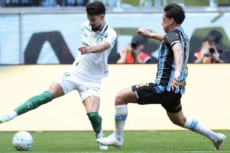 Empate entre Grêmio e Palmeiras mantém Botafogo distante da zona de rebaixamento