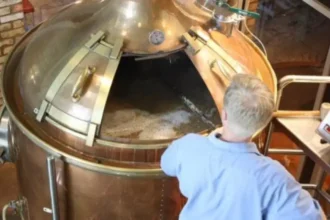 Fermentação e destilação: entenda as diferenças fundamentais na produção de bebidas
