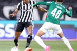 Júnior Santos celebra retorno aos gramados após empate do Botafogo com o Palmeiras