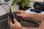 Limpeza de filtro de aquário: o erro comum que pode colocar peixes em risco