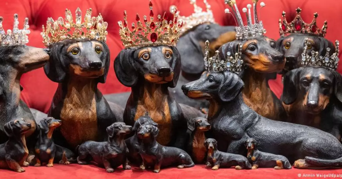 Museu do Dachshund em Regensburg celebra a história e o carisma dos cães salsicha
