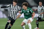 Palmeiras perde fôlego na disputa pela ponta após empate com Botafogo