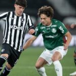 Palmeiras perde fôlego na disputa pela ponta após empate com Botafogo