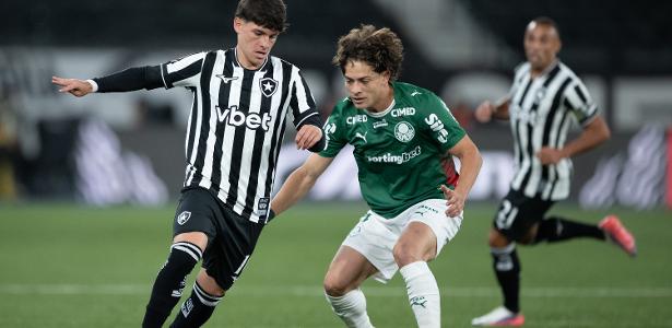Palmeiras perde fôlego na disputa pela ponta após empate com Botafogo
