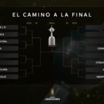 Palmeiras supera LDU pela Libertadores e define cenário para o Fluminense