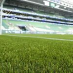 Presidente da LDU critica gramado sintético do Palmeiras antes de duelo na Libertadores