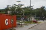 Rotina intensa no Vasco com Tchê Tchê iniciando atividades antes das sete da manhã