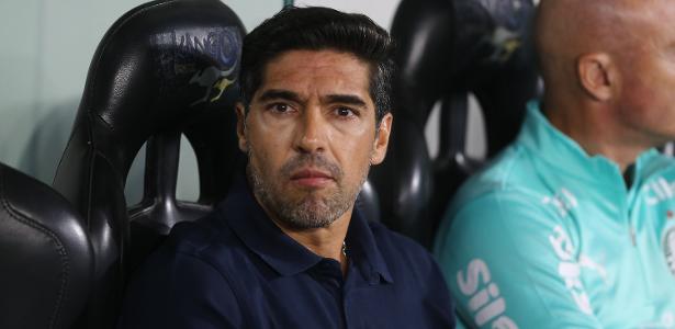Abel ferreira destaca espirito de grupo e entrega do elenco palmeirense
