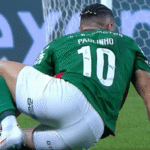 Abel ferreira lamenta pancada dura em paulinho após classificação na libertadores