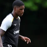 Atacante do Botafogo entra na mira de clube da primeira divisão espanhola