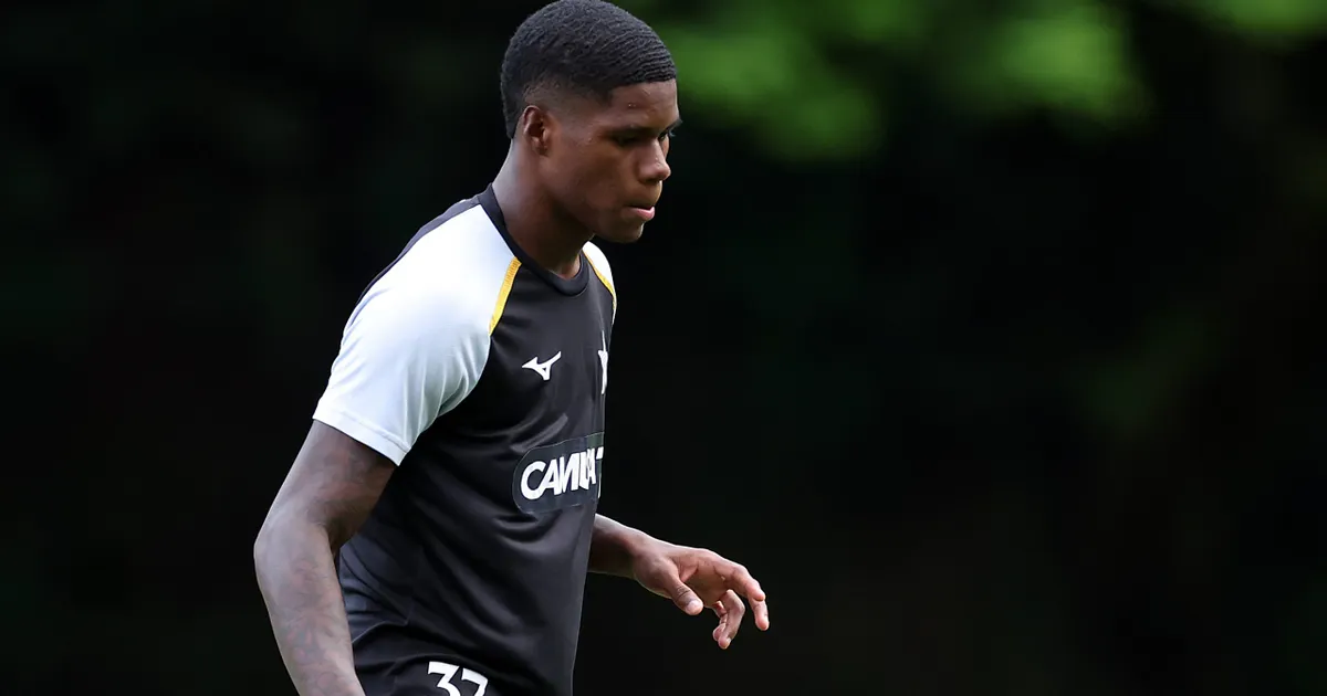 Atacante do Botafogo entra na mira de clube da primeira divisão espanhola