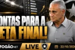 Botafogo afasta risco de queda e projeta nova fase no brasileirão