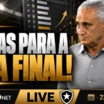 Botafogo afasta risco de queda e projeta nova fase no brasileirão