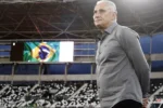 Botafogo afasta risco de rebaixamento e projeta reta final no campeonato