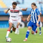 Botafogo de Ribeirão Preto vence Avaí e complica situação na Série b