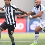 Botafogo encara sequência decisiva no brasileirão com foco na próxima temporada