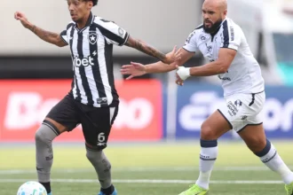 Botafogo encara sequência decisiva no brasileirão com foco na próxima temporada