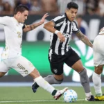 Botafogo enfrenta a Chapecoense no Nilton Santos sob pressão por vitória