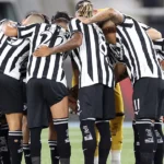 Botafogo enfrenta sequência final mais acessível do Brasileirão segundo projeções