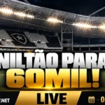 Botafogo estuda projeto para ampliar capacidade do estádio Nilton Santos para 60 mil torcedores