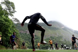 Botafogo liga alerta contra risco de rebaixamento no brasileirão