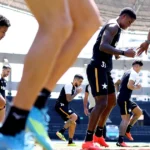 Botafogo mantém estabilidade física e ocupa 12ª posição em ranking de lesões da Série a