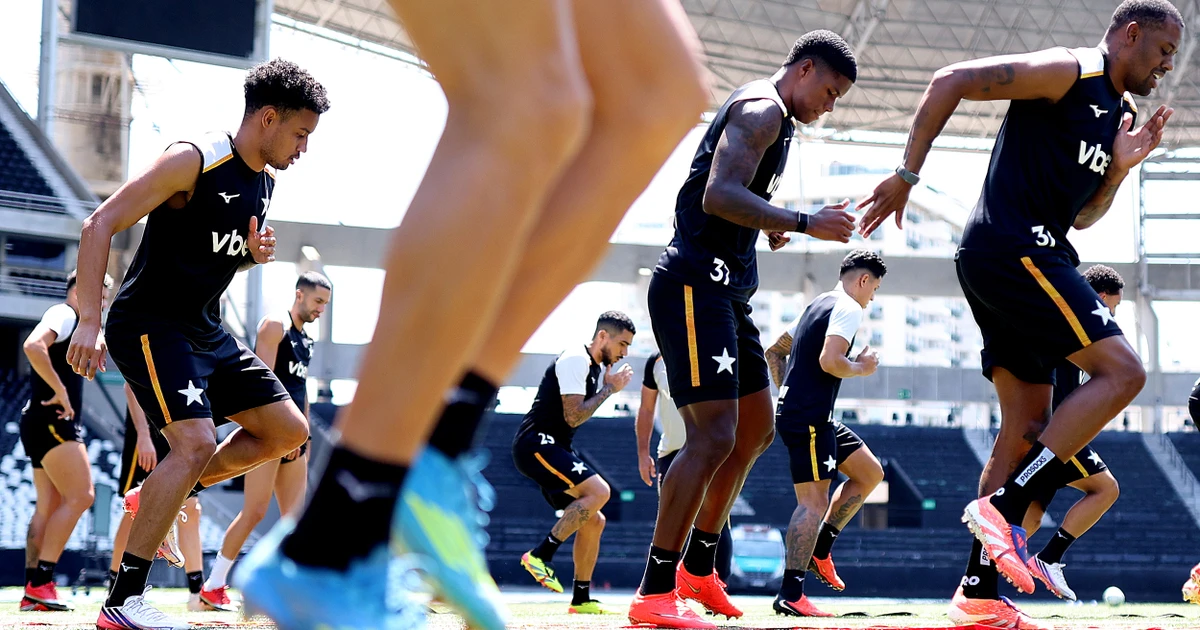 Botafogo mantém estabilidade física e ocupa 12ª posição em ranking de lesões da Série a