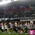 Botafogo recebe aporte financeiro para quitar direitos de imagem e antecipar salários