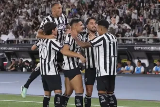 Botafogo reduz risco de queda após triunfo e mira novos objetivos