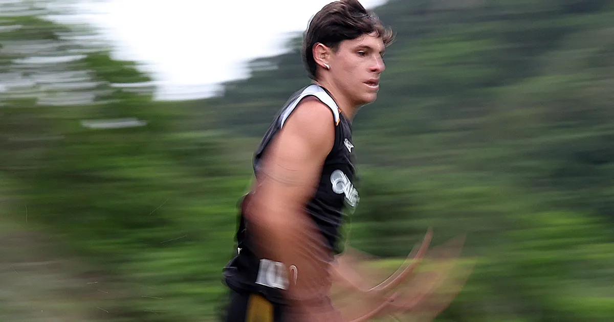 Botafogo reforça elenco com Montoro e Vitinho para confronto diante do Coritiba