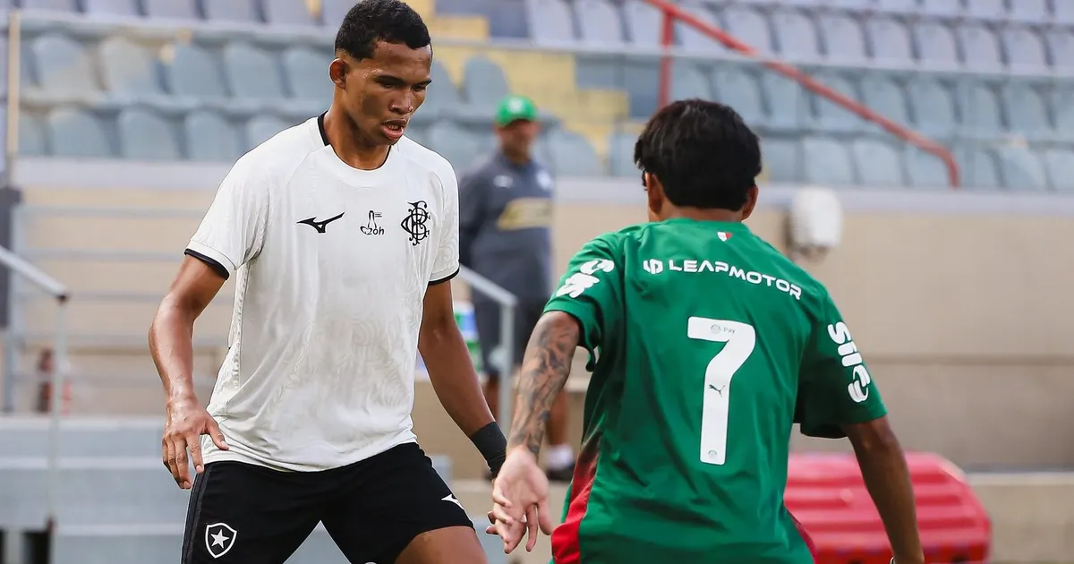 Botafogo sofre revés diante do Palmeiras na Copa do Brasil Sub-20