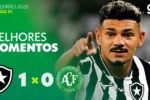 Botafogo vence chapecoense com gol de tiquinho soares no nilton santos
