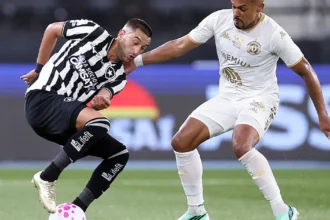 Botafogo vence chapecoense e encaminha permanência na elite do campeonato