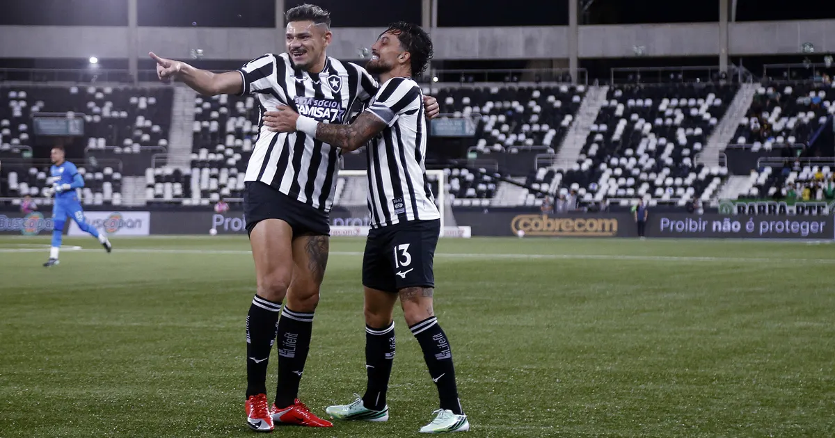 Botafogo vence chapecoense no nilton santos e alex telles faz apelo por união