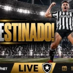 Botafogo vence com gol de Tiquinho Soares e respira na tabela do Brasileirão