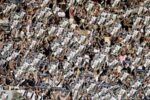Casagrande defende Vasco no Maracanã para semifinal contra o Boca Juniors