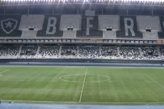 Críticas apontam descaso na infraestrutura do Estádio Nilton Santos