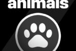 Dia Mundial dos Animais é celebrado pelo Vasco com foco no acolhimento em São Januário