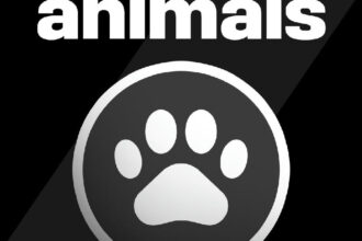 Dia Mundial dos Animais é celebrado pelo Vasco com foco no acolhimento em São Januário