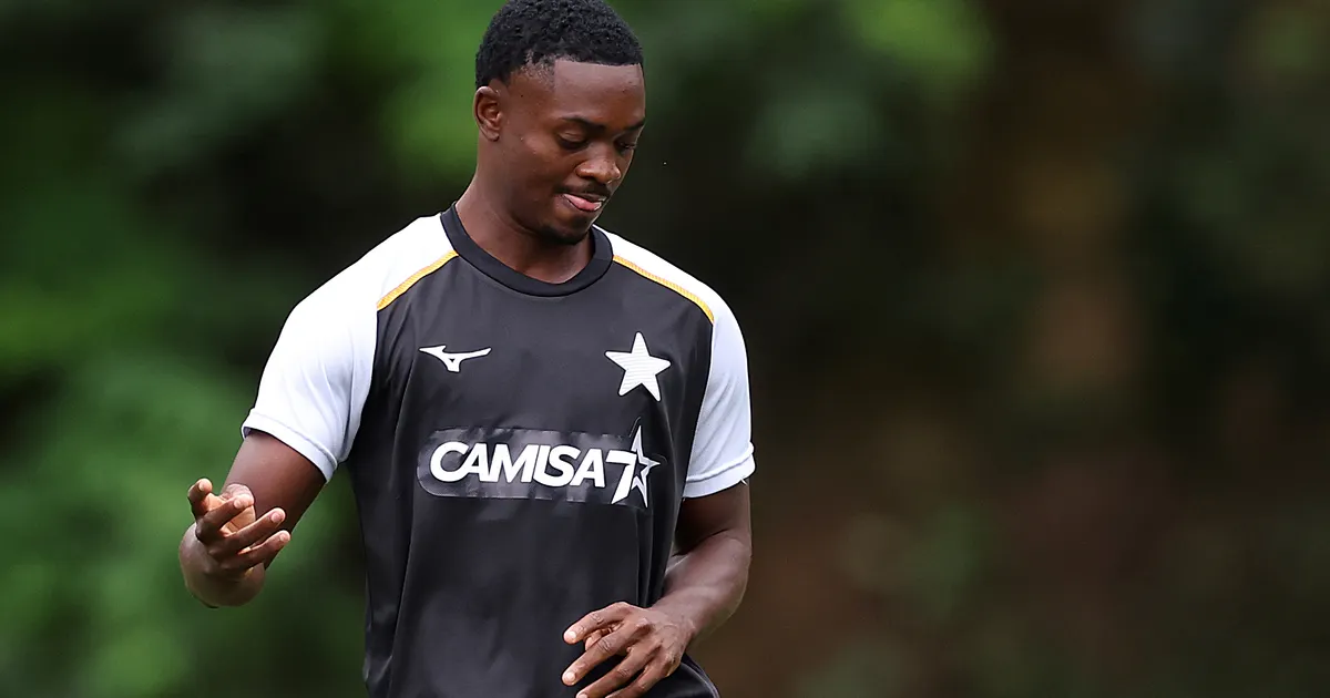 Domingos Andrade enfrenta escassez de minutos após investimento milionário no Botafogo