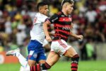 Flamengo e palmeiras lideram rodada decisiva do brasileirão