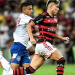 Flamengo e palmeiras lideram rodada decisiva do brasileirão