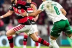 Flamengo e Palmeiras travam disputa acirrada pelo título do Brasileirão